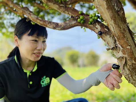 樹葡萄加工|果寶歡酵有機農場